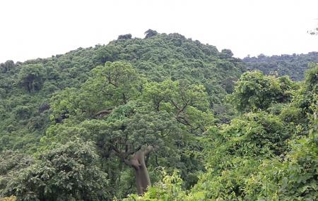 Bosque Protector Cerro Blanco Image