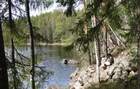 Repovesi National Park Image