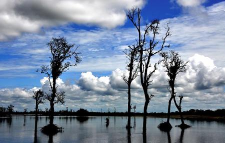 Dibru Saikhowa National Park Image