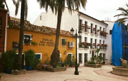 Flamenco Ana Maria Marbella Image