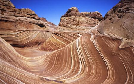 The Wave At Coyote Buttes Image