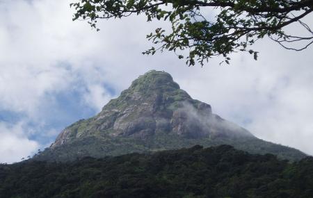 Adam's Peak Image