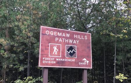 Ogemaw Hills Pathway Image