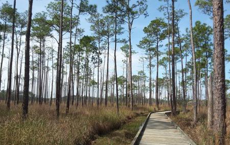 Big Branch Marsh National Wildlife Refuge Image