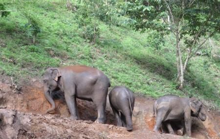 Blue Elephant Thailand Tours Image