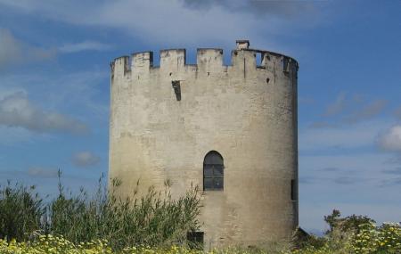 Torre Di Belloluogo Image