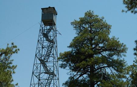 Grandview Lookout Tower Image