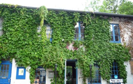 Cafe Medusa Image