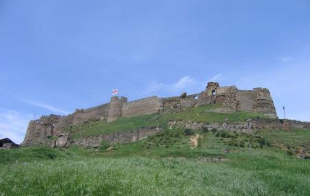 Gori Castle Image