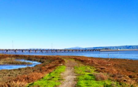 Ravenswood Open Space Preserve Image