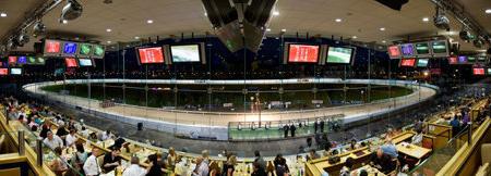 Lifford Greyhound Stadium Image