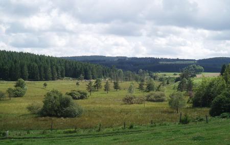 Millevaches En Limousin Natural Regional Park Image
