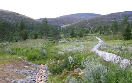Pallas-yllastunturi National Park Image