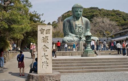 Daibutsu-great Buddha Kamakura, Japan Image