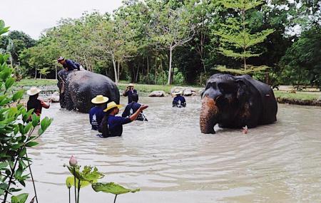 Elephant Village Pattaya Image