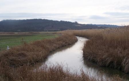 High Halstow National Nature Reserve Image