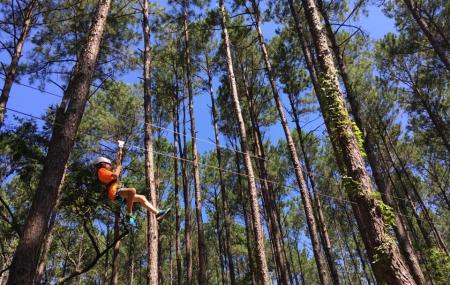 Charleston Zip Line Adventures Image