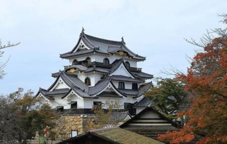 Hikone Castle (hikone) Image