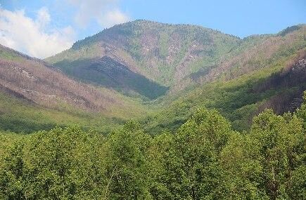 Mount Leconte Image