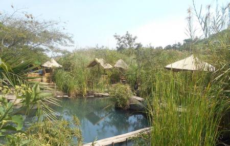 Kiwa Heritage Image