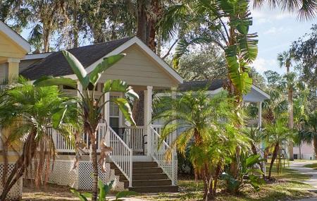 palms carefree