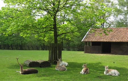 Hertenkamp Image