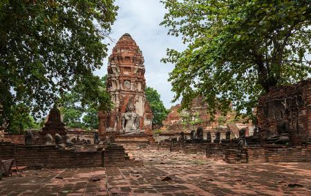 Wat Maha That Image