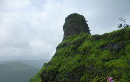Karnala Fort Image