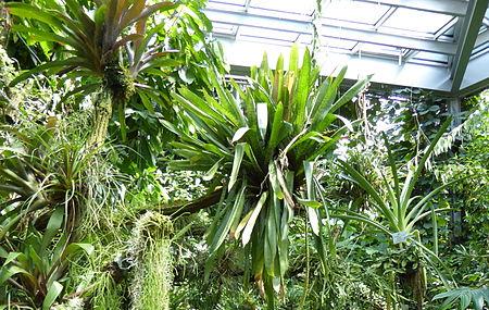 Tropicarium Image