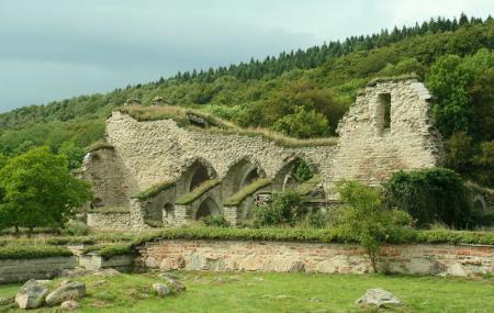 Alvastra Monastery Image