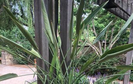 Botanica, The Wichita Gardens Image