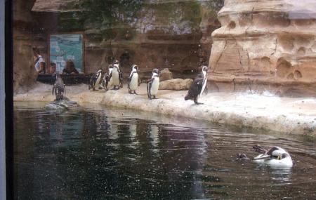 Sedgwick County Zoo Image