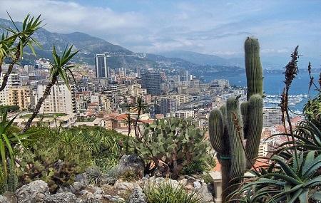 Jardin Exotique Image