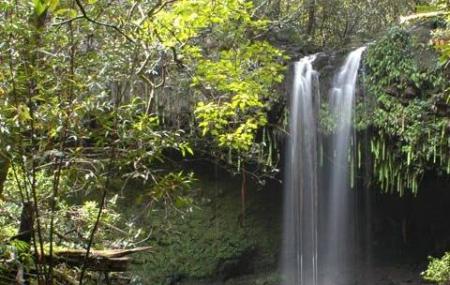 Twin Falls Maui Waterfall Kahului Ticket Price Timings Address Triphobo