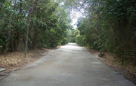 Key Largo Hammock Botanical State Park Image