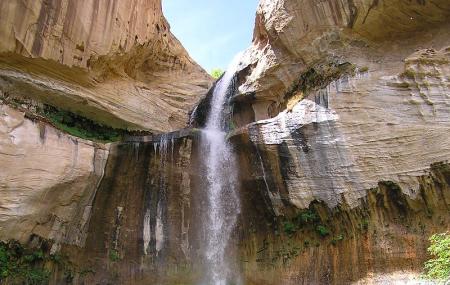 Lower Calf Creek Falls Trail Image
