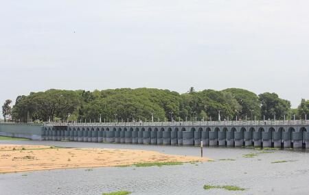 Kallanai Dam Image
