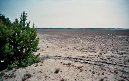 Lieberoser Wuste (lieberose Desert) Image