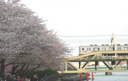 Kuritsu Sumida Park Image
