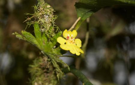 Bilsa Biological Reserve Image