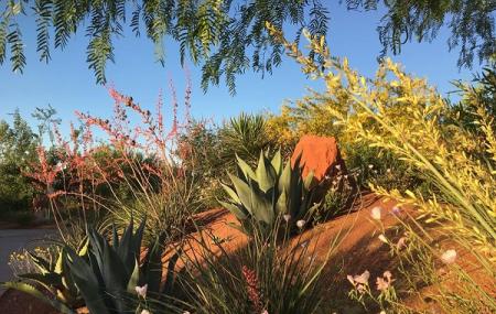 Red Hills Desert Garden Image