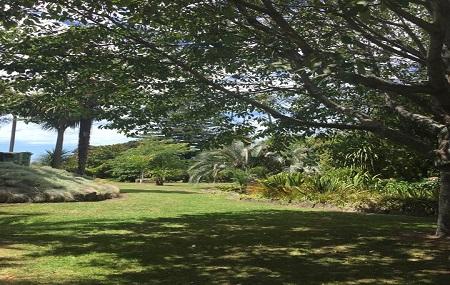 Botanical Gardens Image