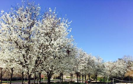 Ted Fairfield Park Image