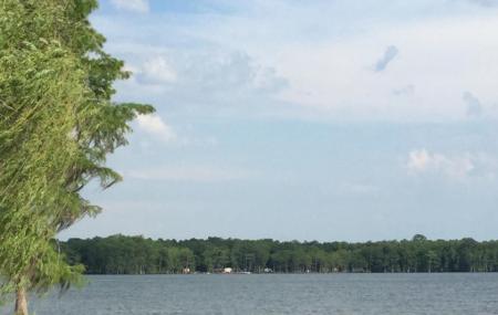 Lake Jackson Image