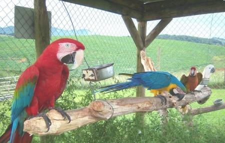 Fort Chiswell Animal Park Image