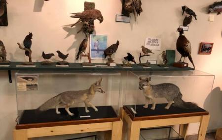 Kern River Fish Hatchery Image