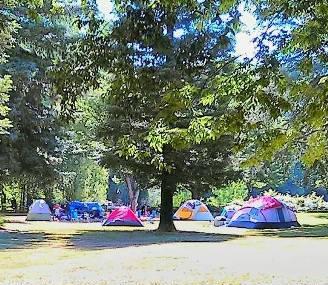Colusa-sacramento River State Recreation Area Image