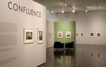 Lsu Museum Of Art Image