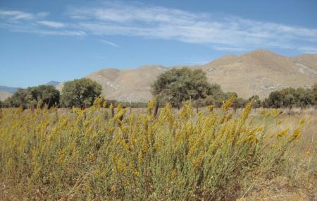 South Fork Wildlife Area Image