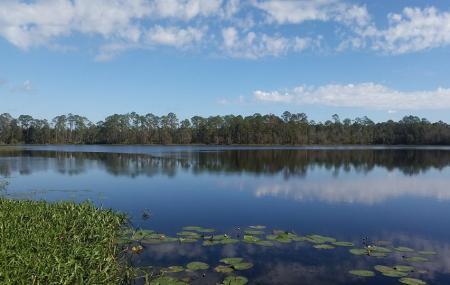 Carl Duval Moore State Forest Image